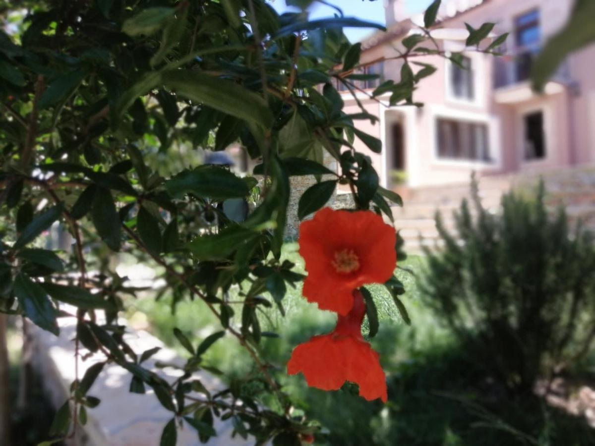 Apartments Sena Pula Dış mekan fotoğraf
