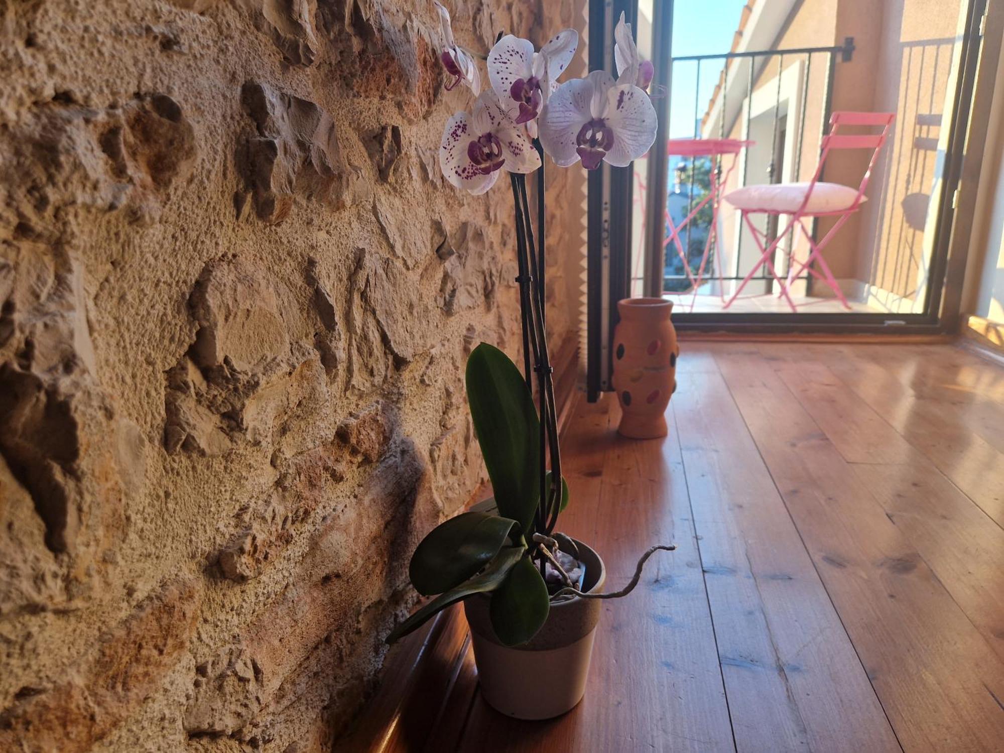 Apartments Sena Pula Dış mekan fotoğraf